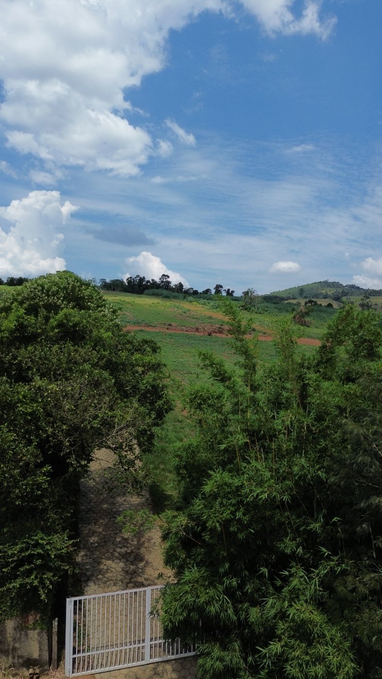 Encosta verde e montanhas ao redor